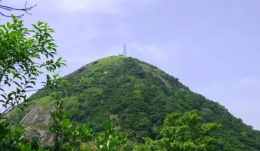 深圳q八座知名的大山 看看你都征服了几?>
        <p class='ph_title'>深圳q八座知名的大山 看看你都征服了几?/p>
        <p class='ph_time'>2020-03-25</p>
      </a>
    </li>
                <li>
      <a href=